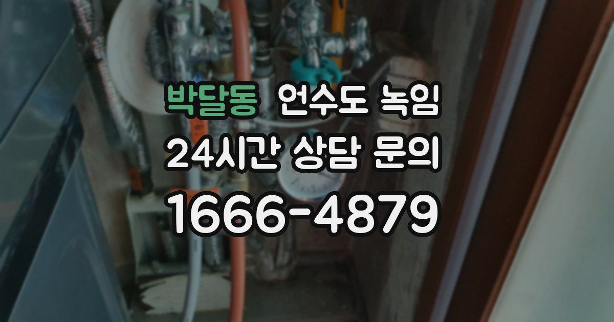 박달동 언수도 녹임