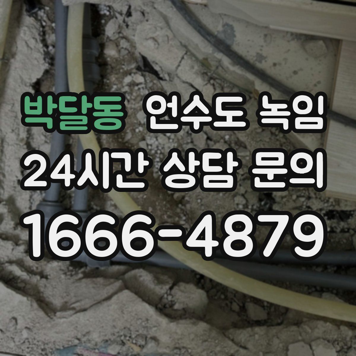 박달동 언수도 녹임