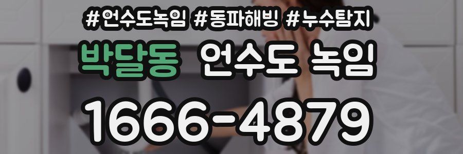 박달동 언수도 녹임