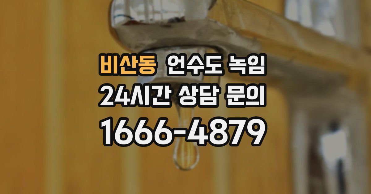 비산동 언수도 녹임