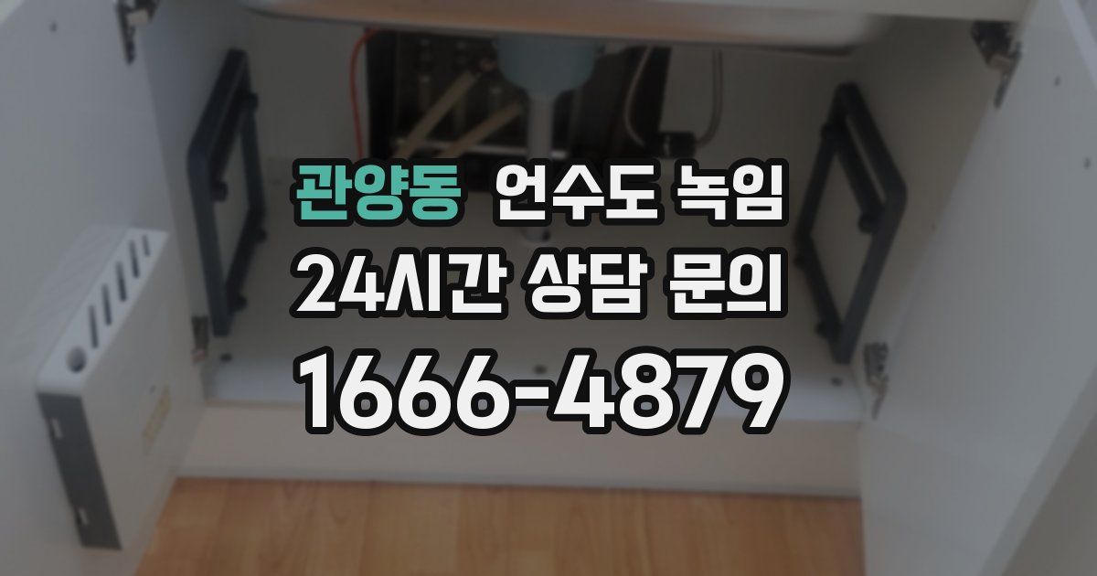 관양동 언수도 녹임