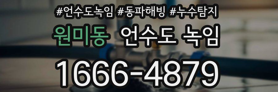 원미동 언수도 녹임