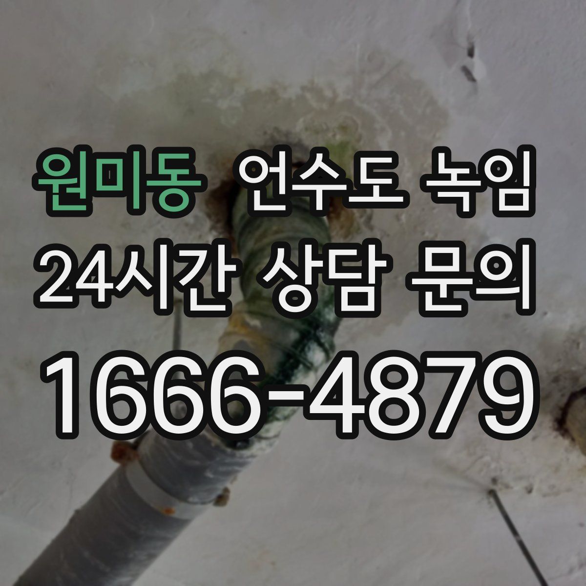 원미동 언수도 녹임