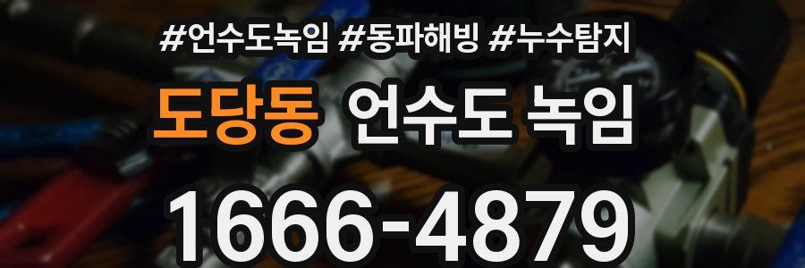 도당동 언수도 녹임