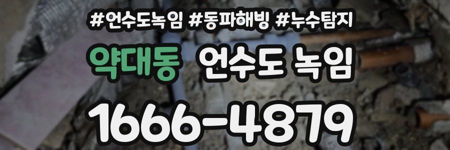 약대동 언수도 녹임