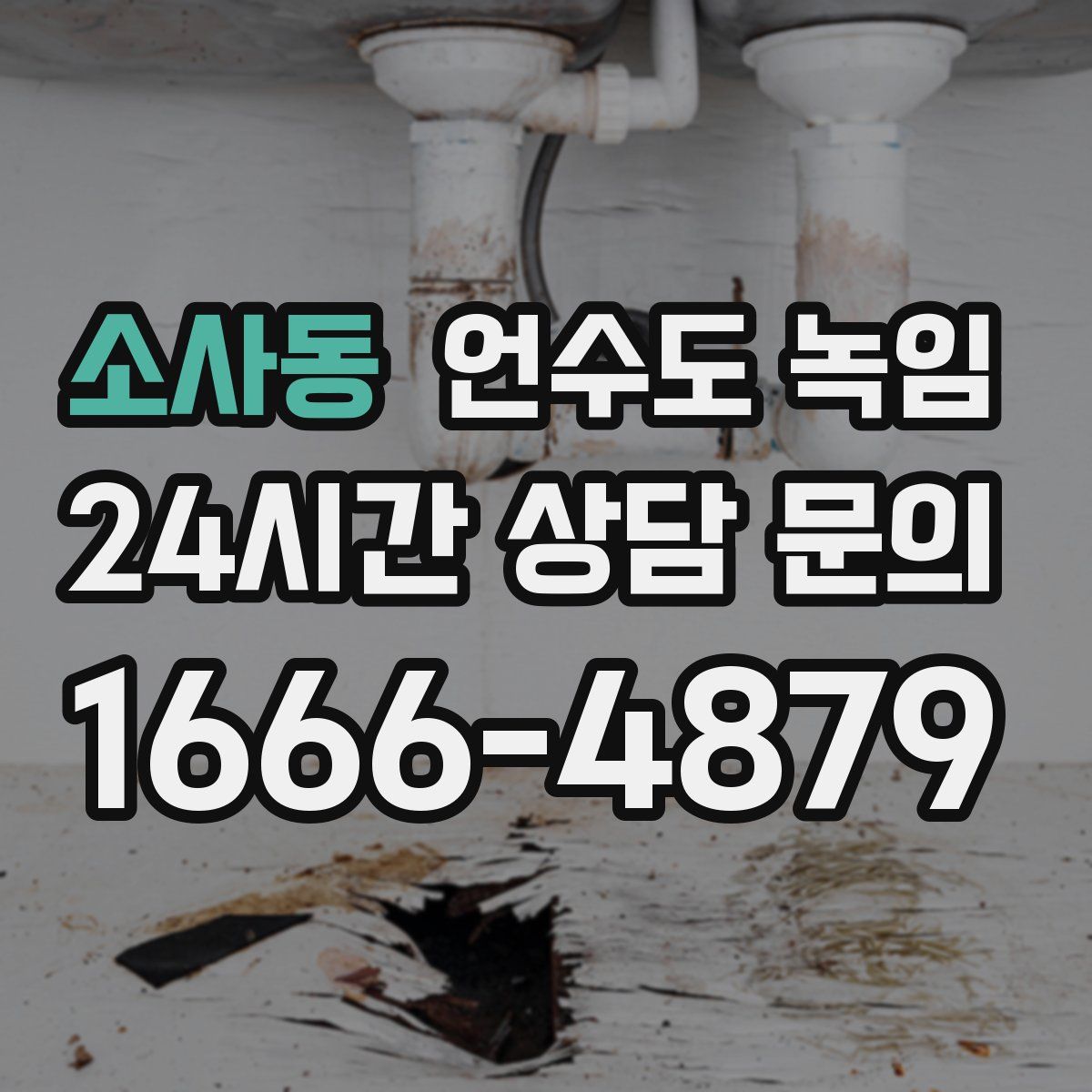 소사동 언수도 녹임