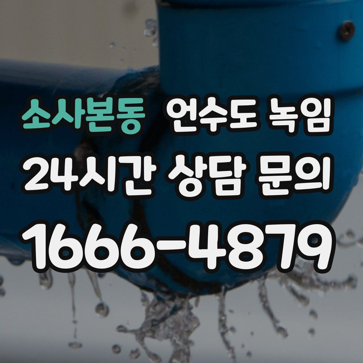 소사본동 언수도 녹임