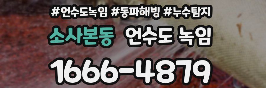 소사본동 언수도 녹임