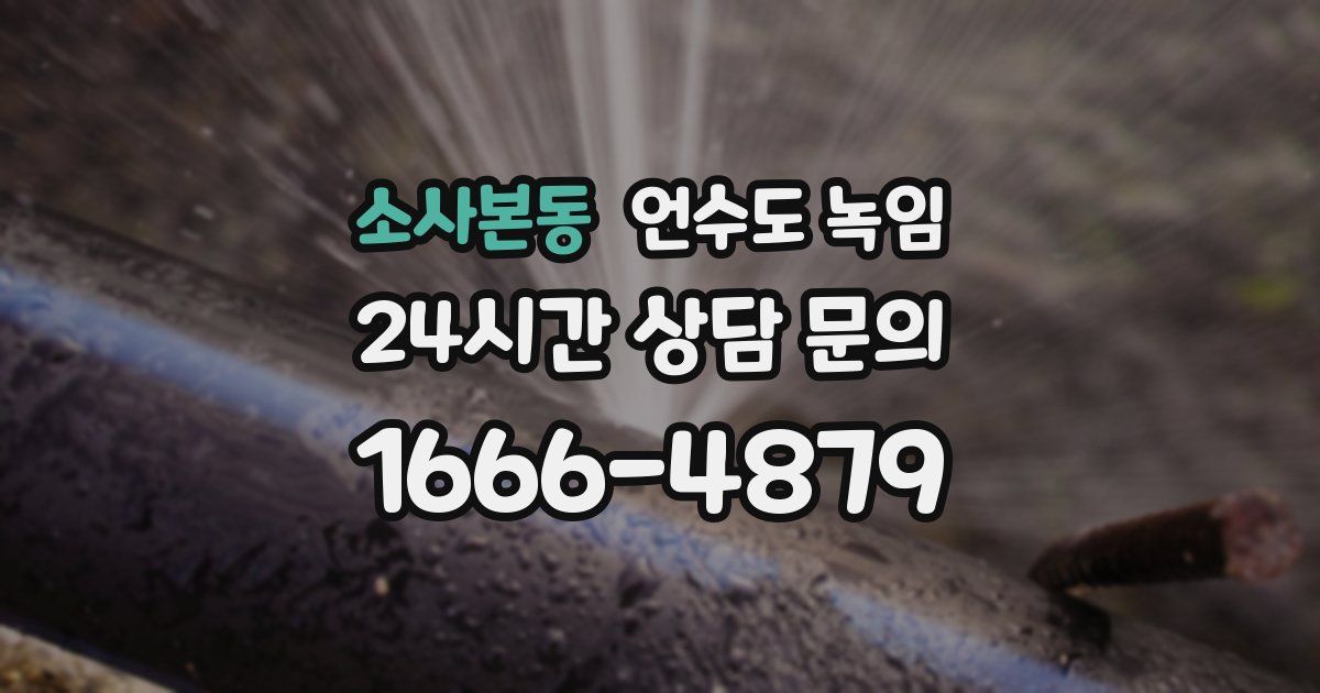 소사본동 언수도 녹임