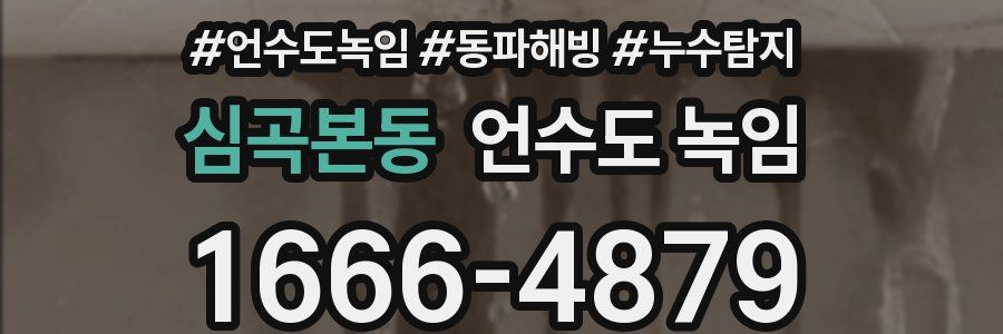 심곡본동 언수도 녹임