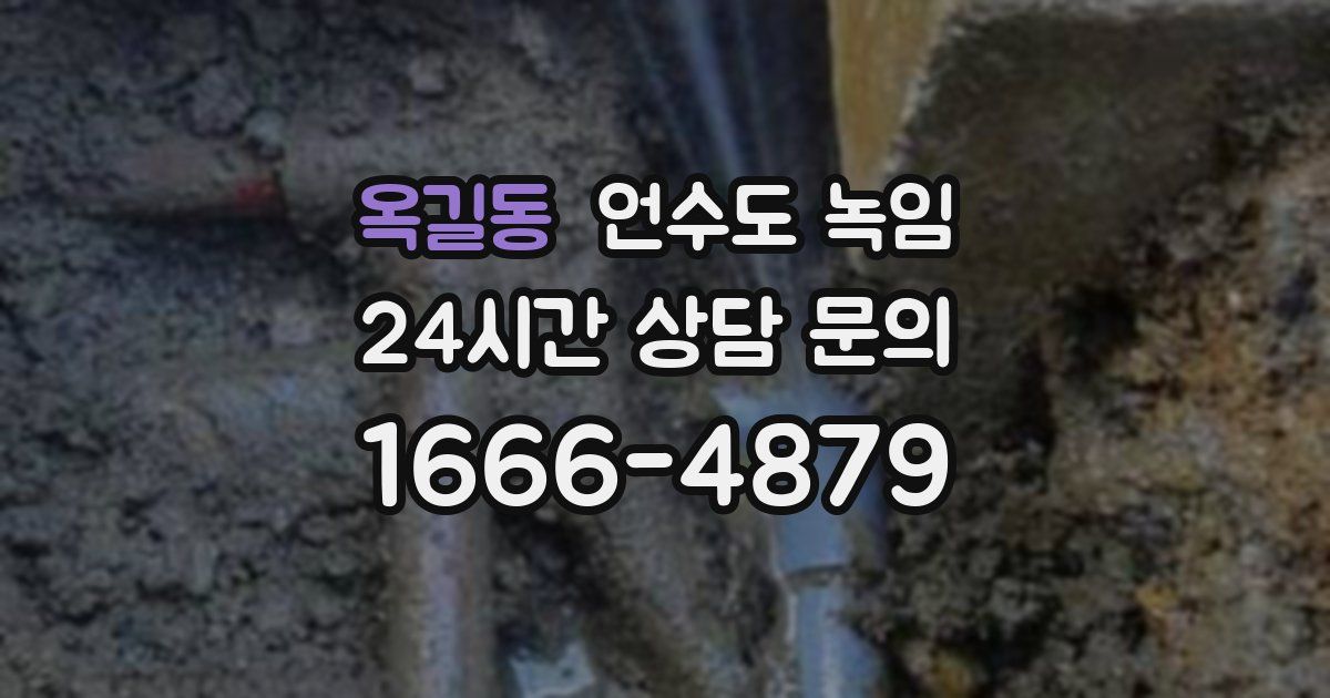 옥길동 언수도 녹임