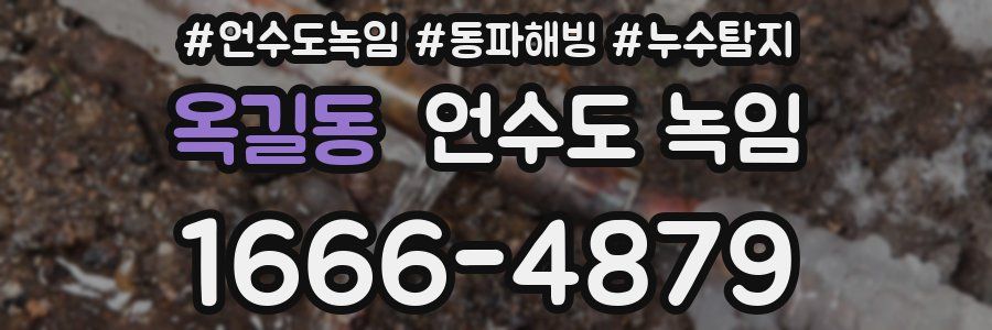 옥길동 언수도 녹임