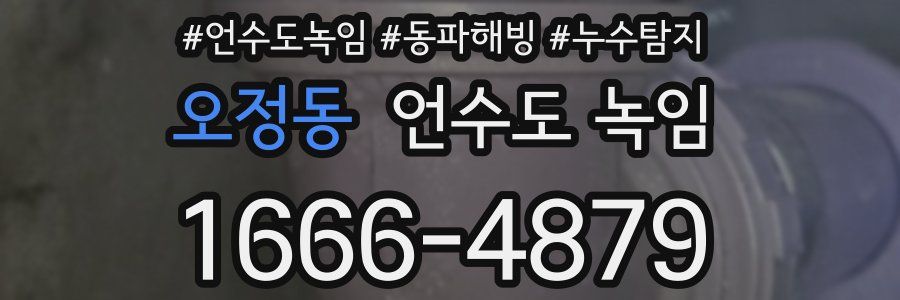 오정동 언수도 녹임