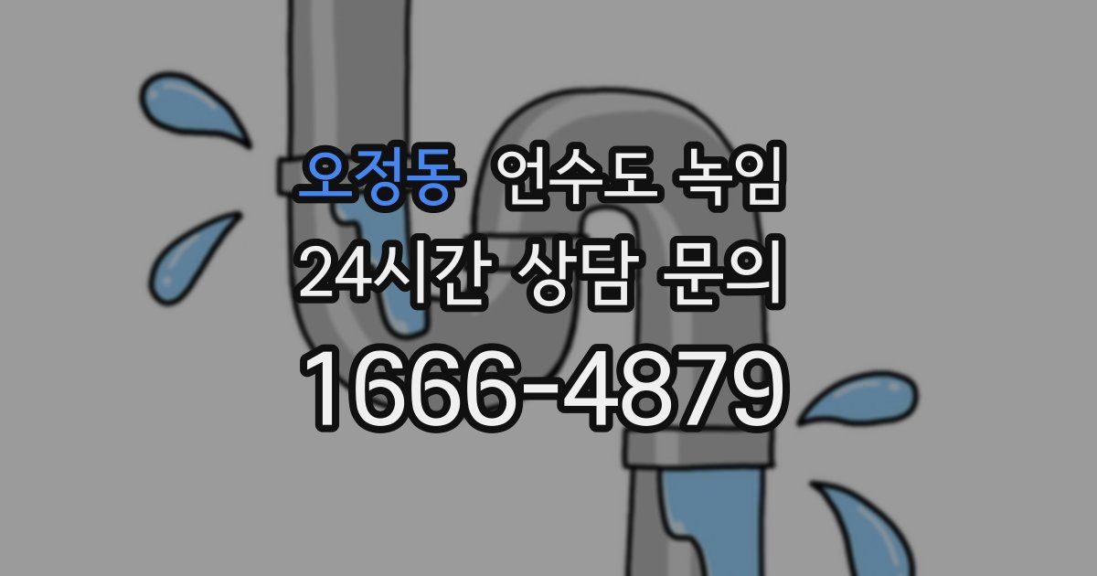 오정동 언수도 녹임