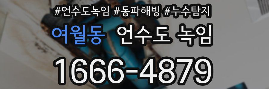 여월동 언수도 녹임