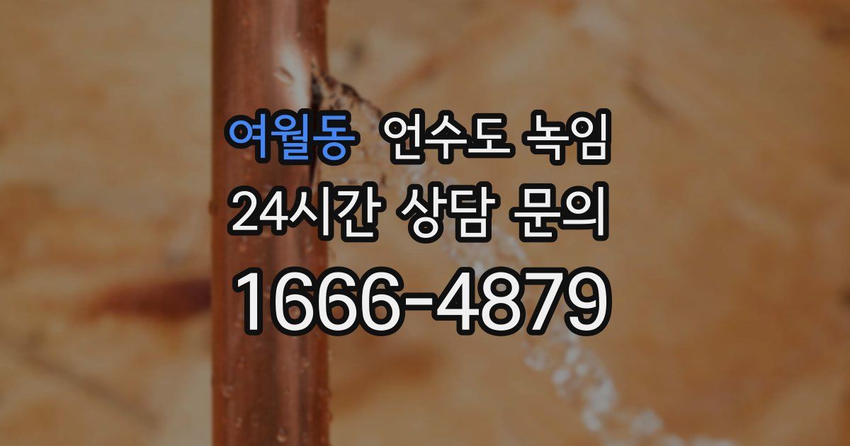 여월동 언수도 녹임