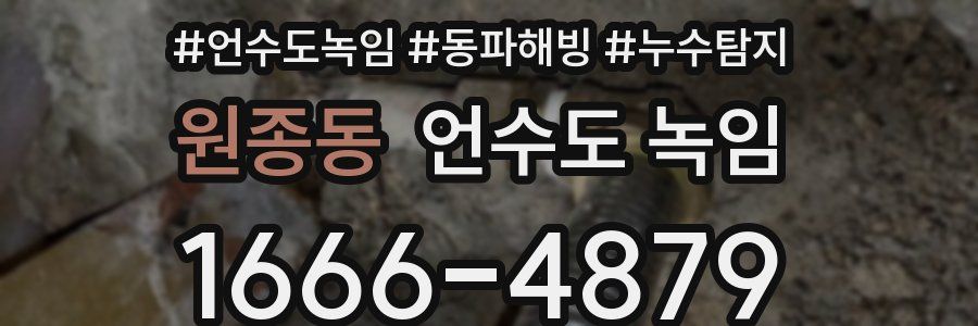 원종동 언수도 녹임