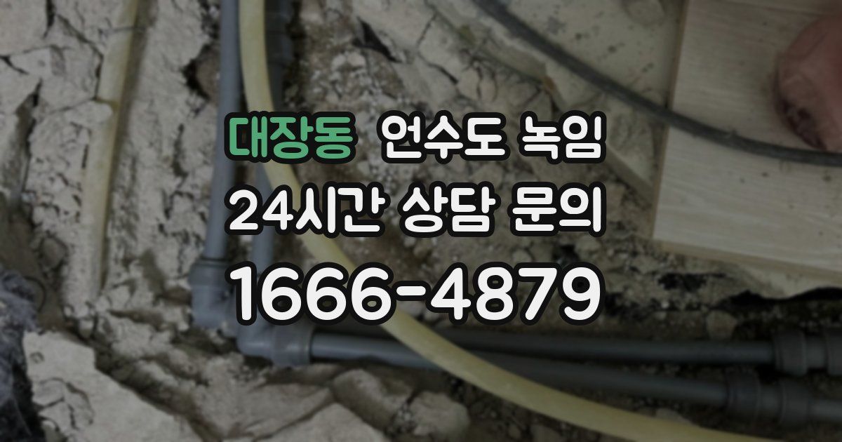 대장동 언수도 녹임