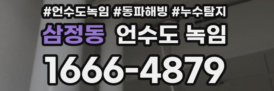 삼정동 언수도 녹임