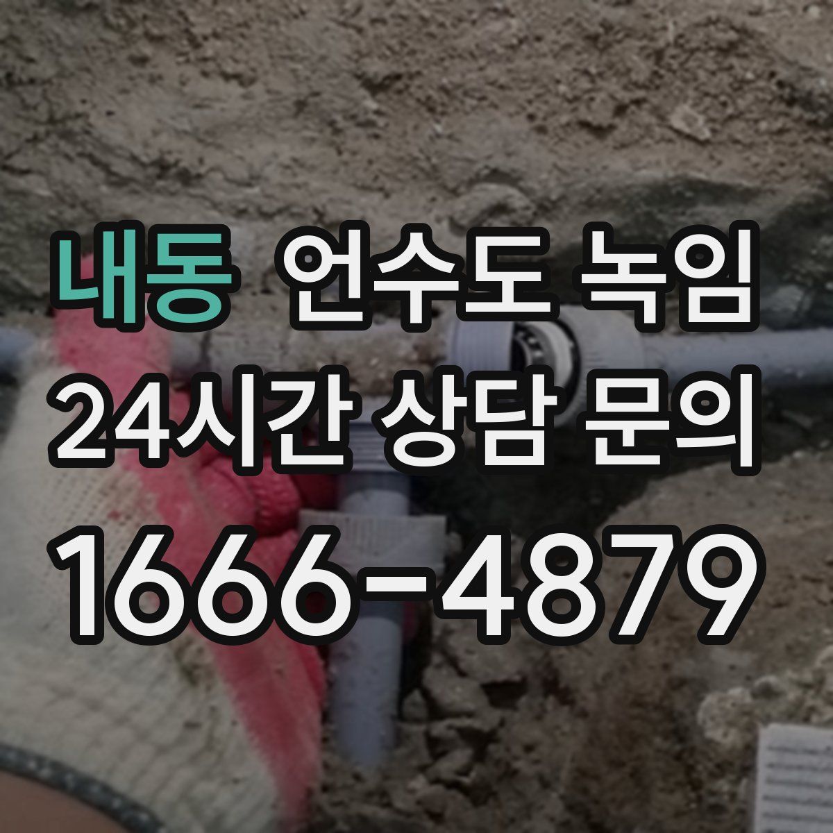 내동 언수도 녹임