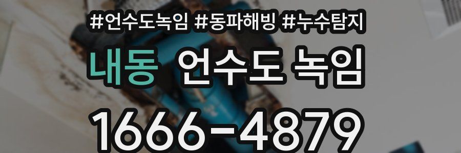 내동 언수도 녹임