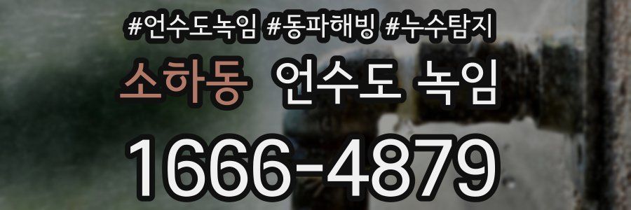 소하동 언수도 녹임