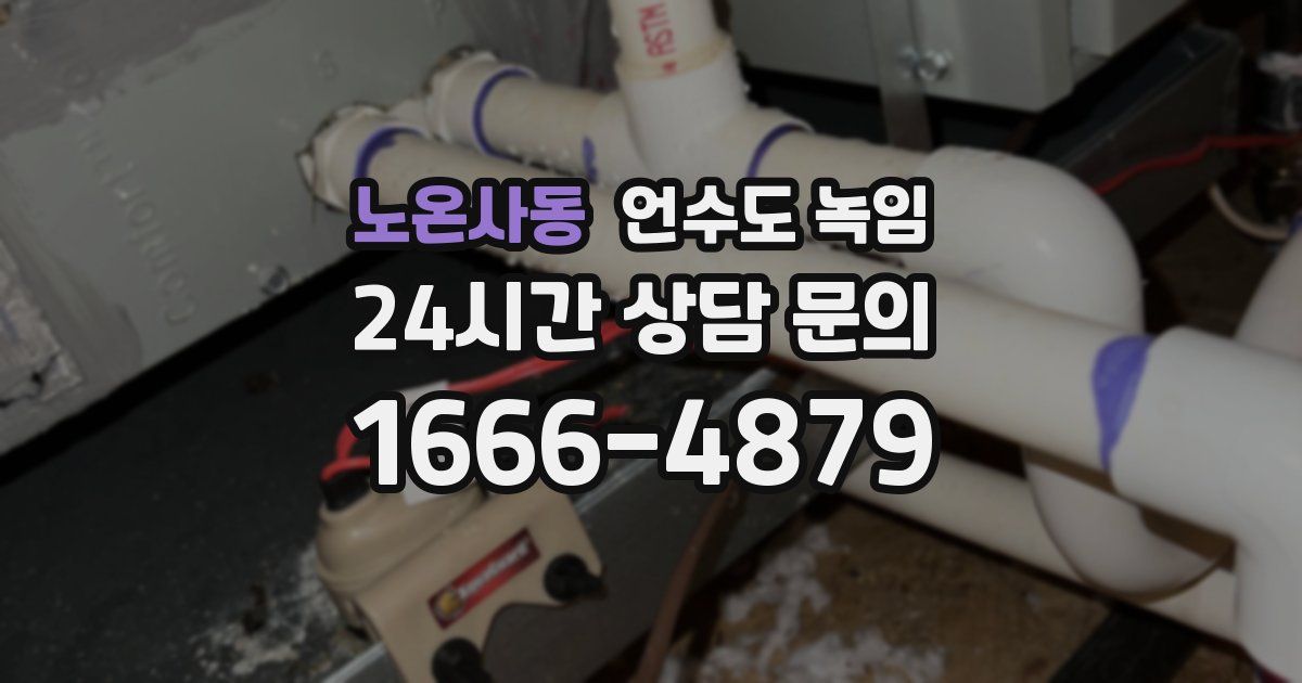 노온사동 언수도 녹임