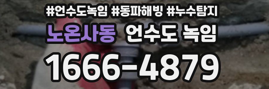 노온사동 언수도 녹임