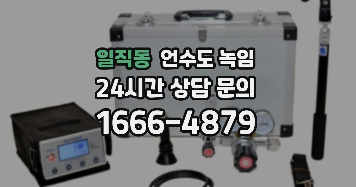 일직동 언수도 녹임