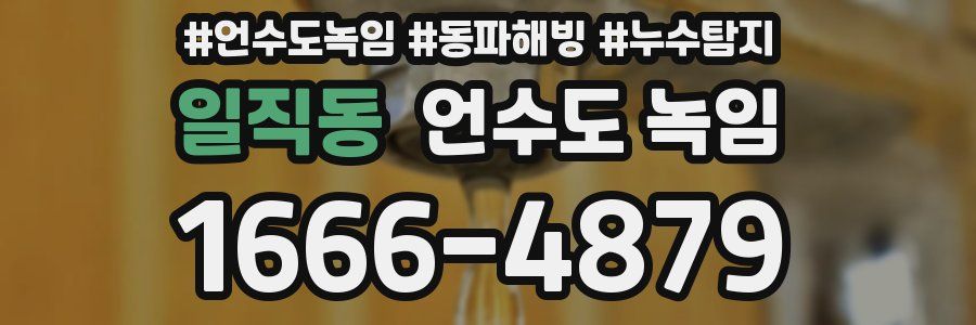 일직동 언수도 녹임