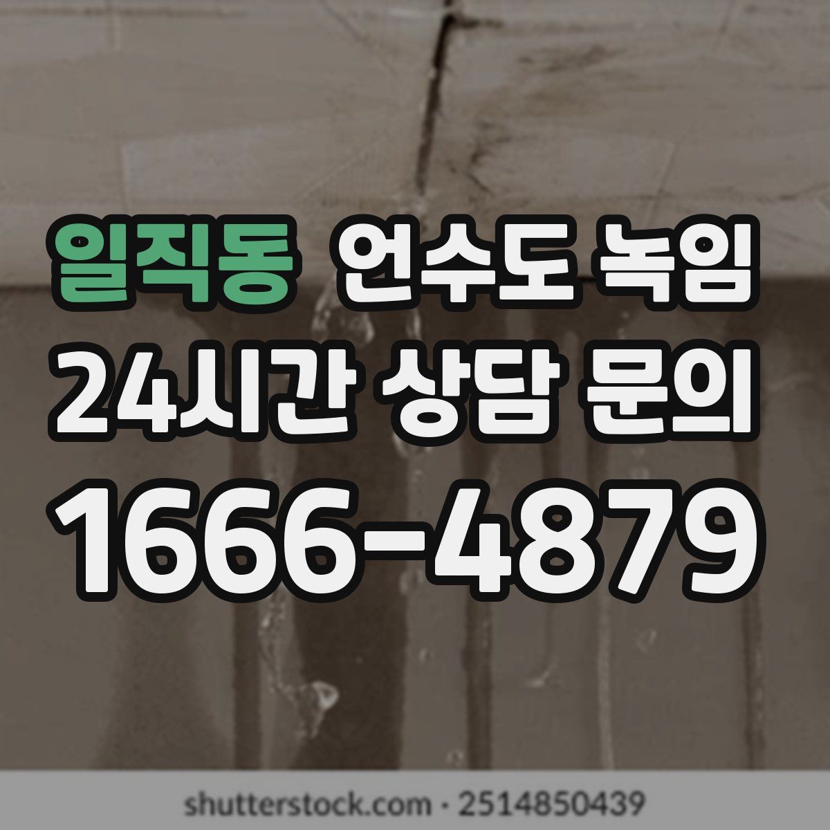 일직동 언수도 녹임