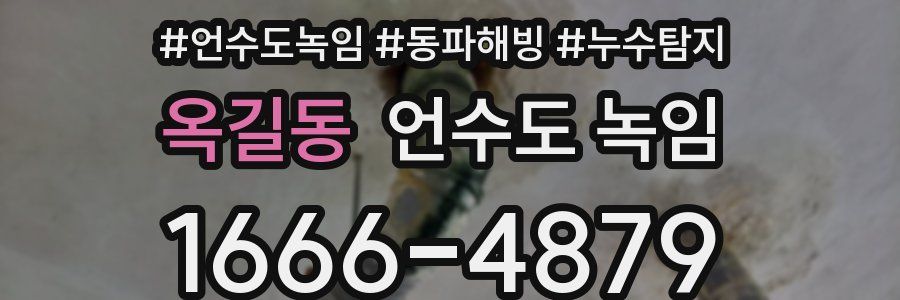 옥길동 언수도 녹임