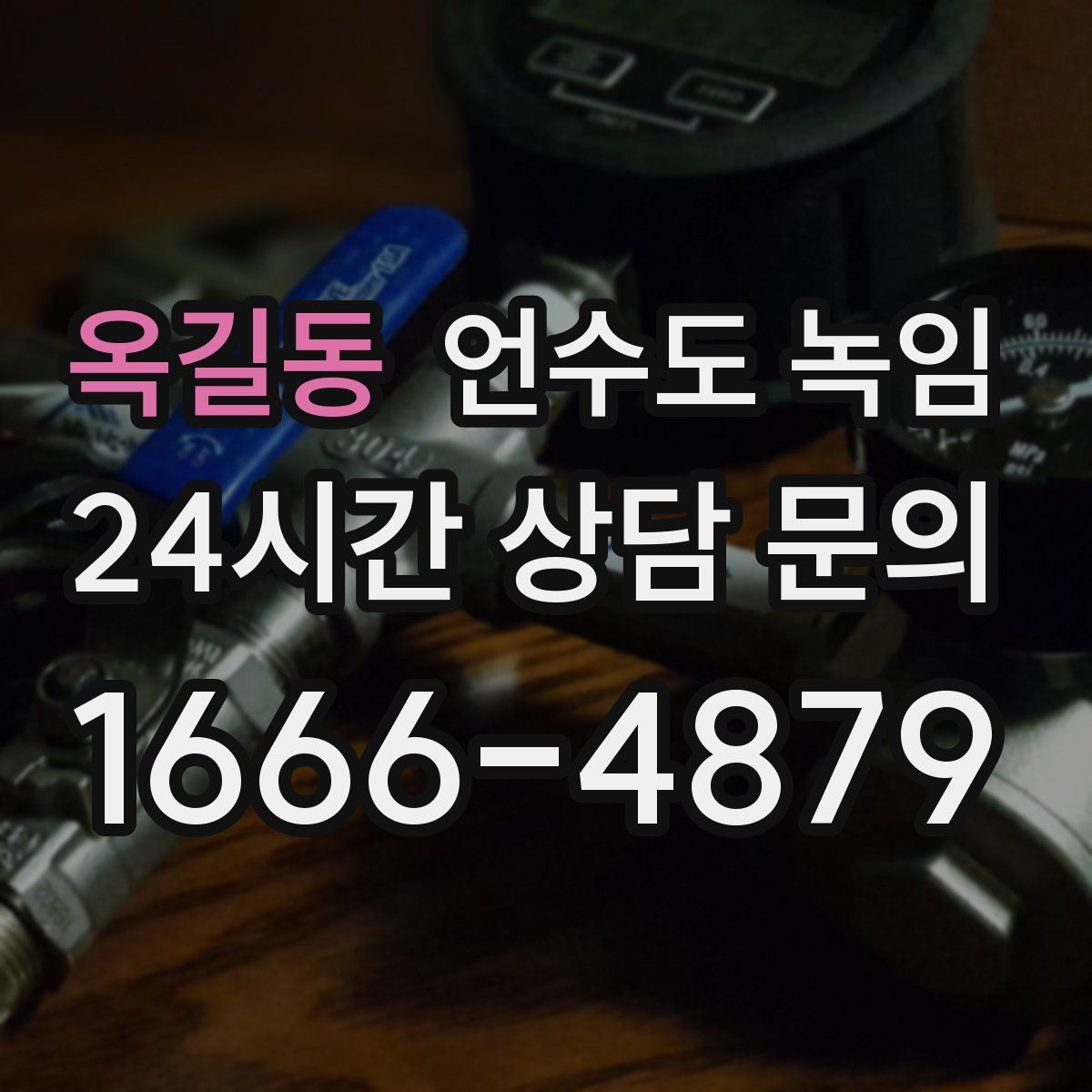 옥길동 언수도 녹임