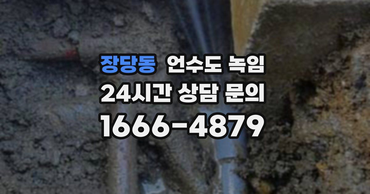 장당동 언수도 녹임