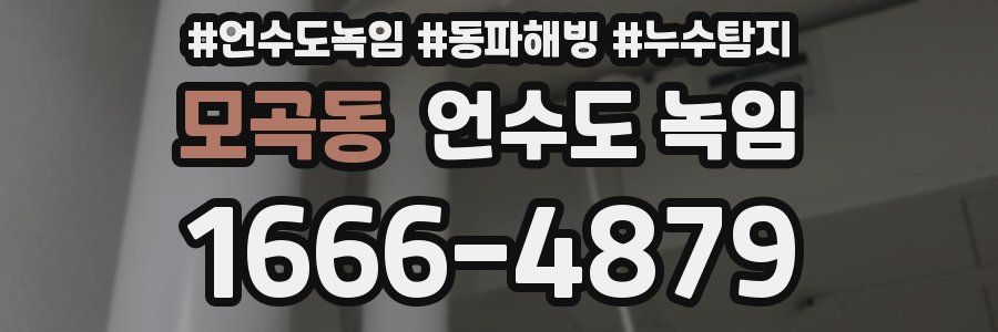 모곡동 언수도 녹임