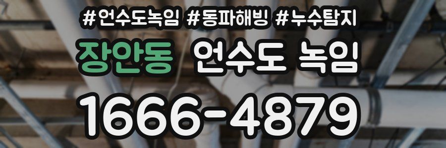 장안동 언수도 녹임