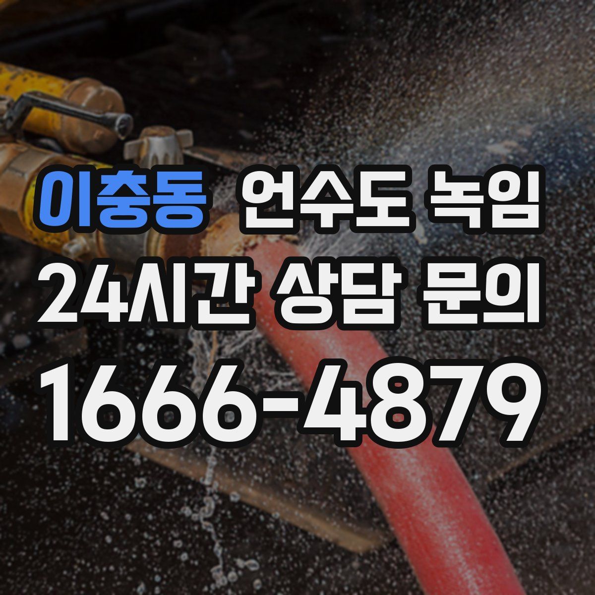 이충동 언수도 녹임