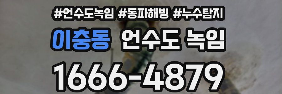 이충동 언수도 녹임