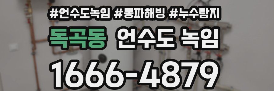 독곡동 언수도 녹임