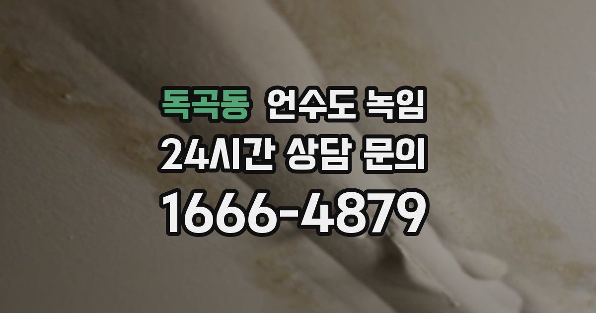 독곡동 언수도 녹임