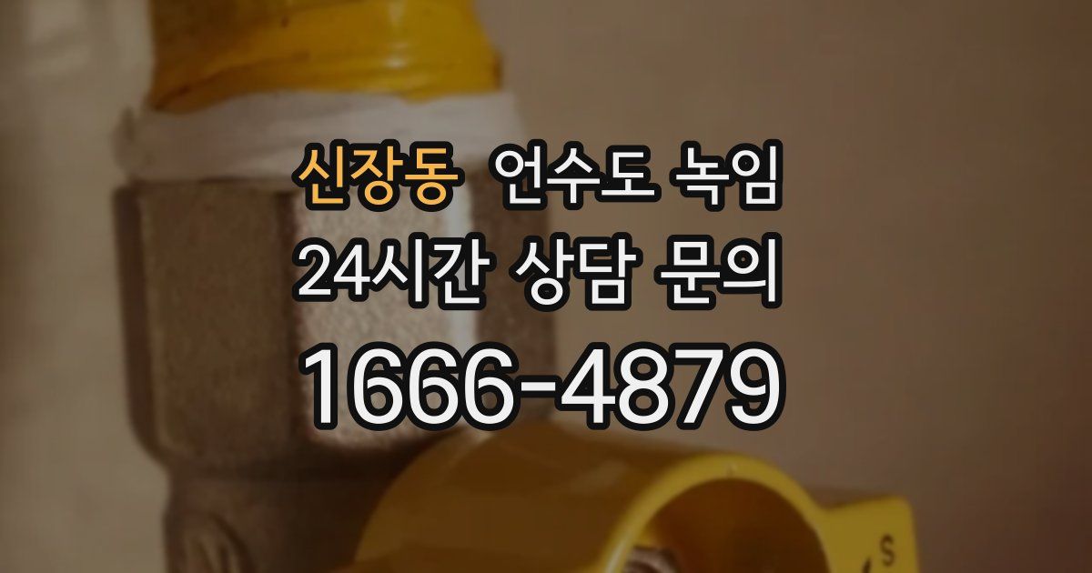 신장동 언수도 녹임