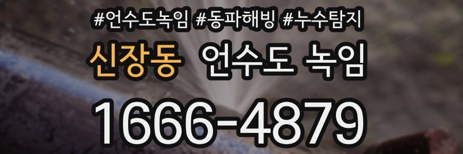 신장동 언수도 녹임