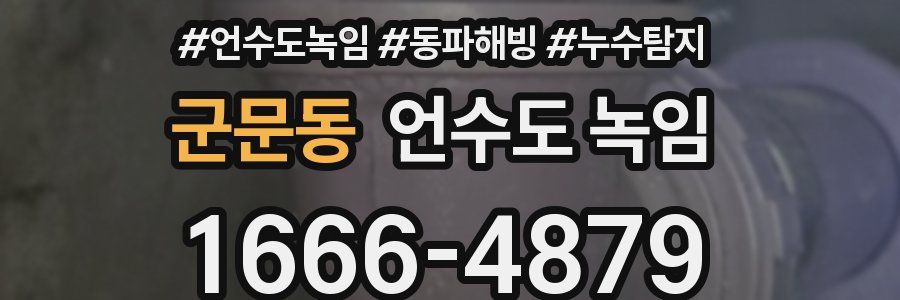 군문동 언수도 녹임