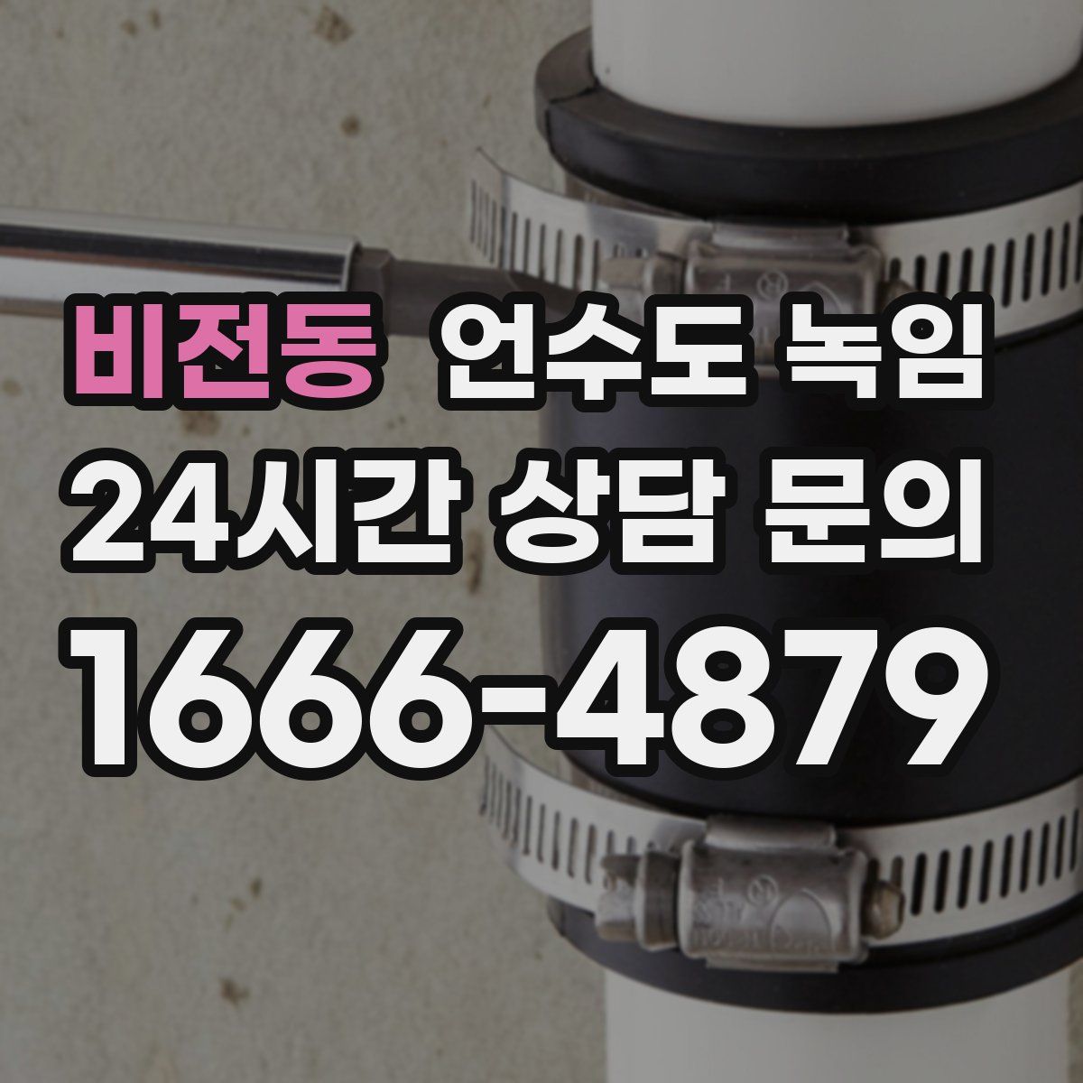 비전동 언수도 녹임