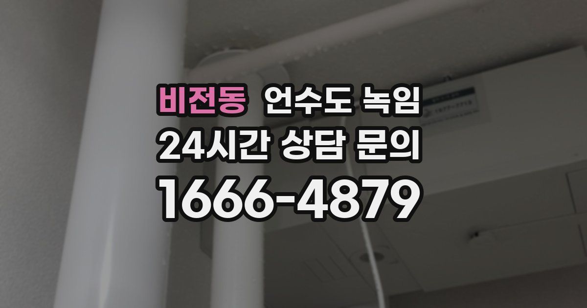 비전동 언수도 녹임