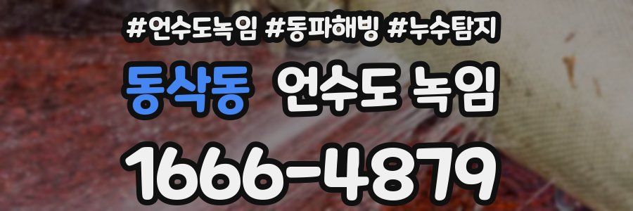 동삭동 언수도 녹임