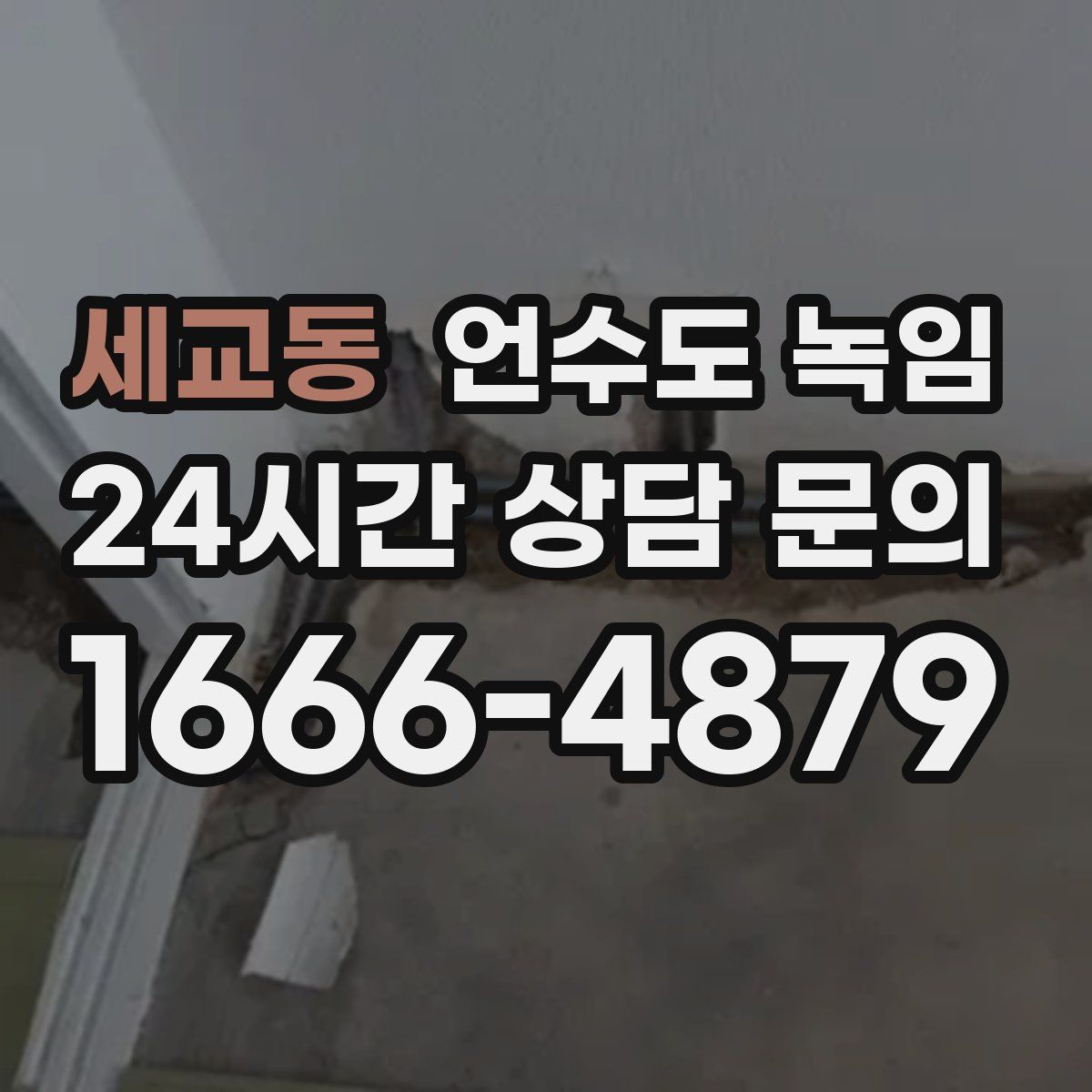 세교동 언수도 녹임