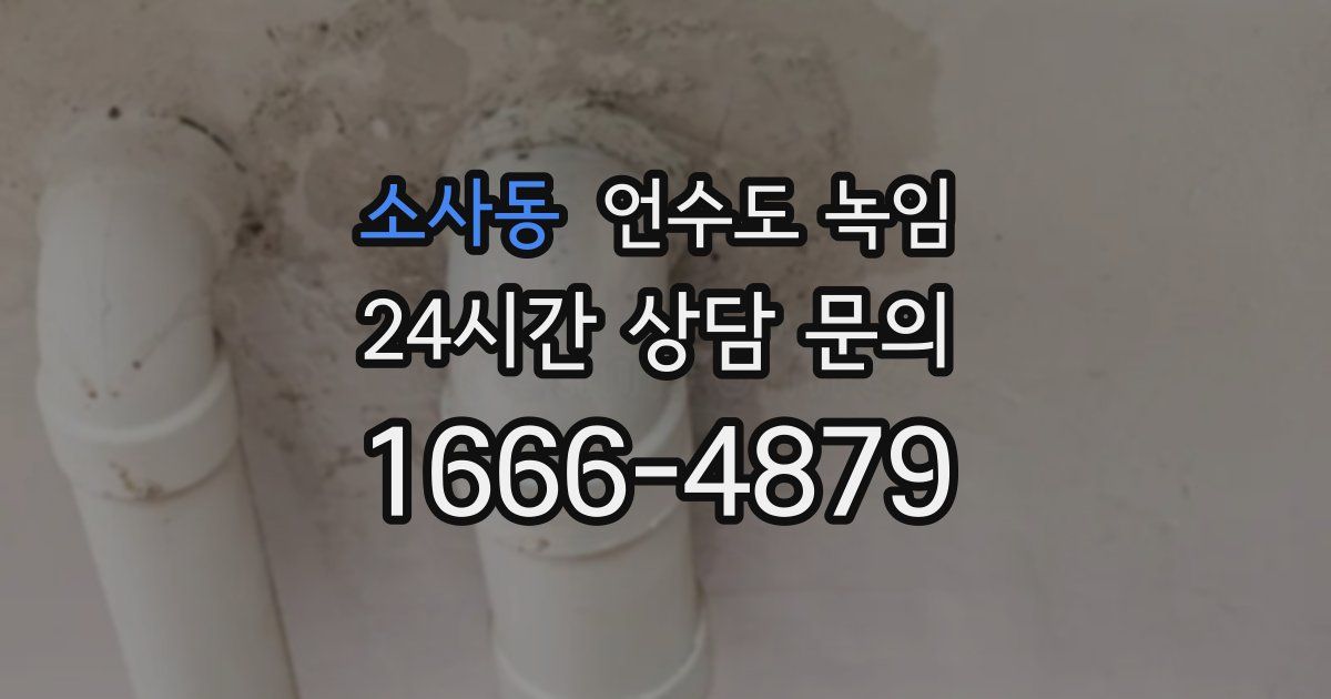 소사동 언수도 녹임