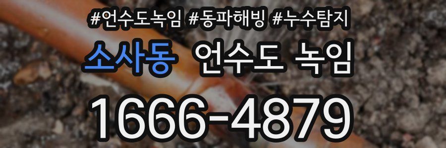 소사동 언수도 녹임