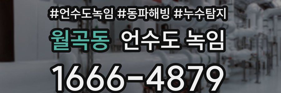 월곡동 언수도 녹임